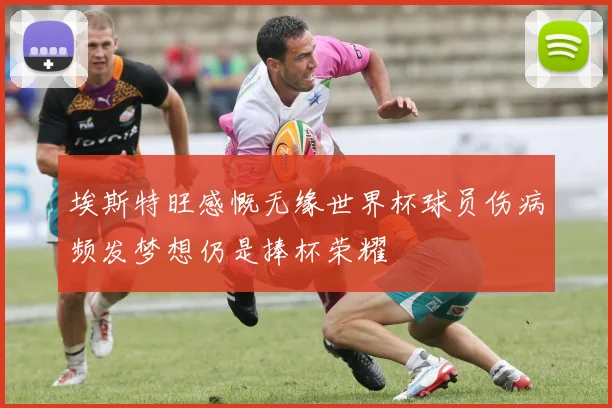 埃斯特旺感慨无缘世界杯球员伤病频发梦想仍是捧杯荣耀